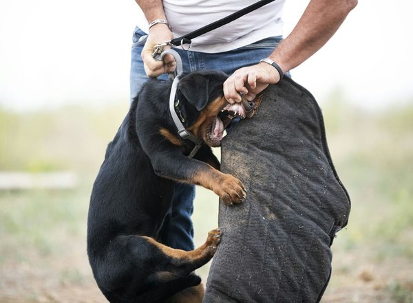 What are the effective methods for securing personal data in wearable health devices?